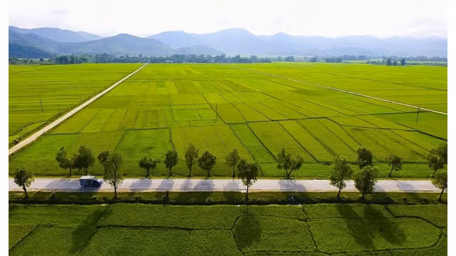 Diên Biên, le lieu conserve des vestiges historiques de la bataille héroïque ảnh 5