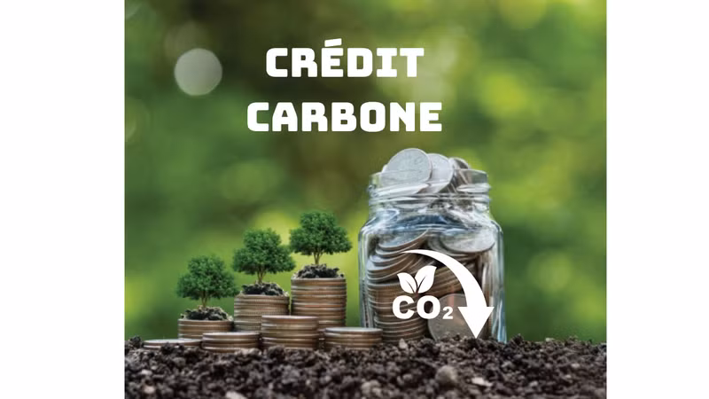 Marché des crédits carbone au Vietnam : opportunités et défis sur la voie de la réduction des émissions