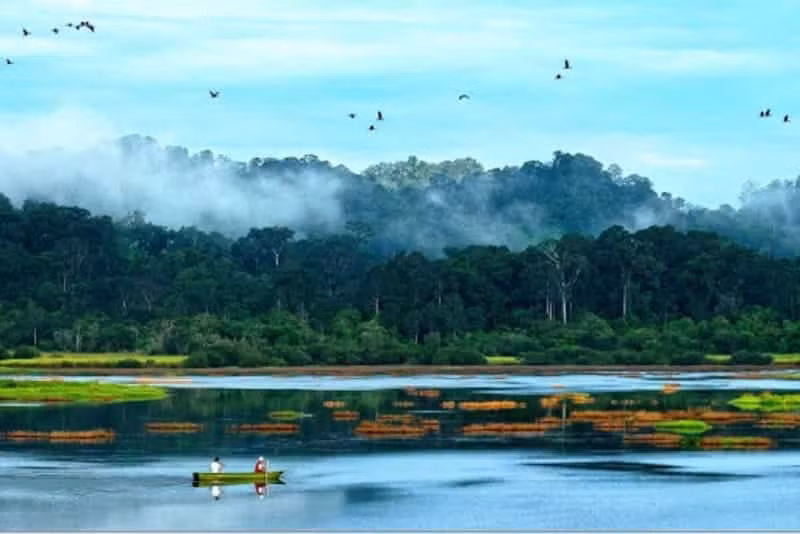 La région du sud-est du Vietnam est dotée d'un écosystème forestier d'une diversité exceptionnelle, parmi les plus riches du pays. Photo : 52hz.vn