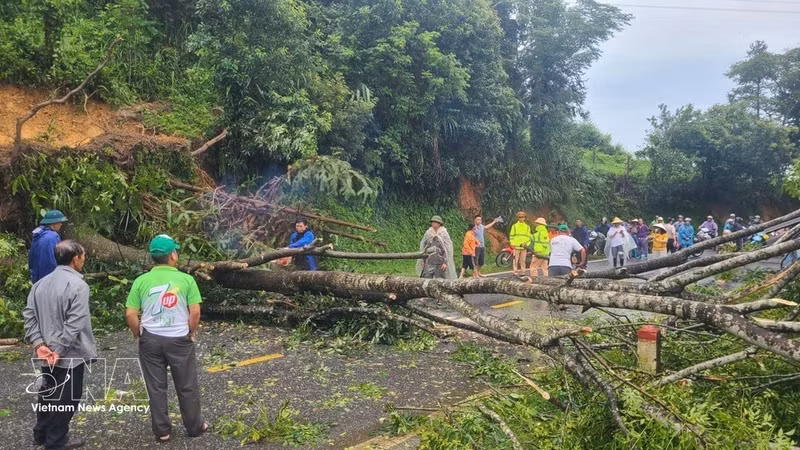 Des arbres tombés provoquent des embouteillages sur la route nationale 3, au niveau du col de Cao Bac. Photo : VNA