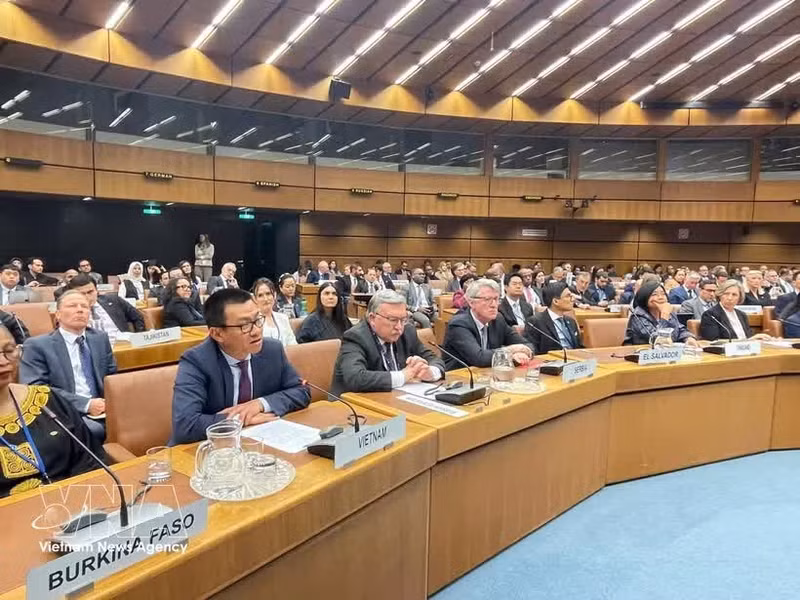 L’ambassadeur Vu Le Thai Hoang, chef de la Mission permanente du Vietnam auprès des Nations unies et des organisations internationales à Vienne, s'exprime lors de l'événement. Photo : VNA.