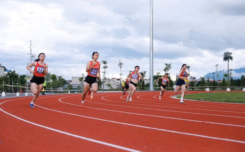 Le développement du sport professionnel repose sur l’amélioration du statut socio-économique des entraîneurs et des athlètes. Photo : VNA/CVN