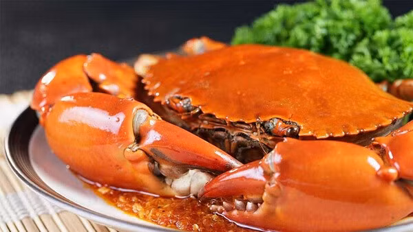 Ca Mau vise à devenir le plus grand centre d’élevage de crabes du delta du Mékong et du pays