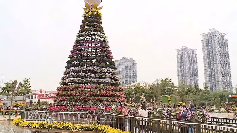Le "Festival des fleurs de la province de Hung Yen" se tiendra du 25 au 31 décembre dans la commune de Phung Cong. Photo: journal de Hung Yen