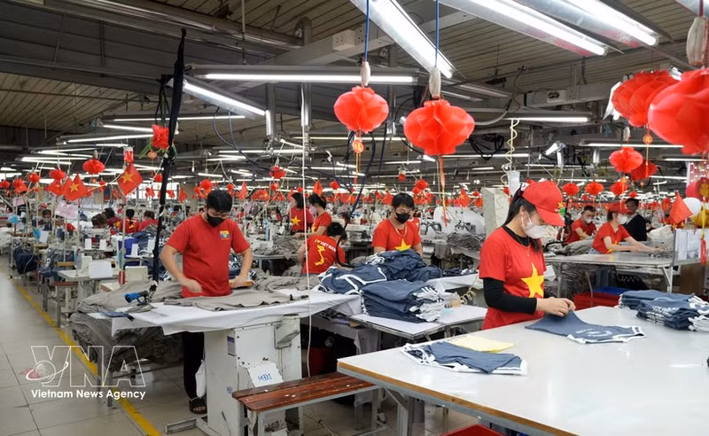 Des agriculteurs de la province de Bac Ninh récoltent les litchis précoces. Photo : VNA.