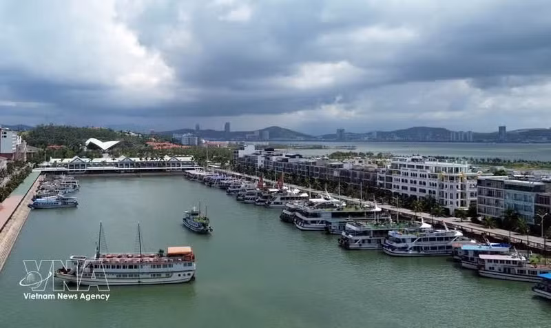 Flotte touristique de Ha Long au port international de Tuân Châu (province de Quang Ninh). Photo : VNA.