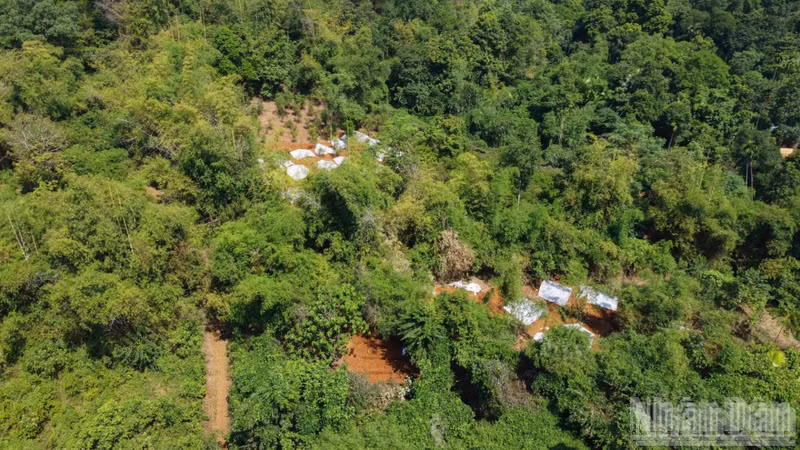 Depuis le 3 septembre, les forces compétentes de la province de Lao Cai, au Nord du Vietnam, mènent des recherches dans cette zone. Elles ont découvert 28 tombes contenant des dépouilles, disposées en rangée, espacées d’environ 2,5 à 3 mètres et situées à une profondeur d’environ 1,2 mètre.