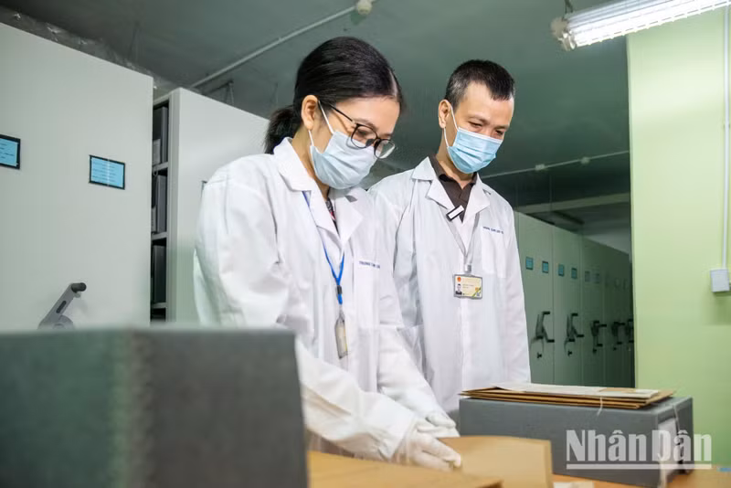 Les archivistes poursuivent sans relâche leurs recherches, examinant et recoupant chaque page afin de fournir aux familles des morts pour la Patrie les informations les plus précises possible. Photo : MINH DUY.