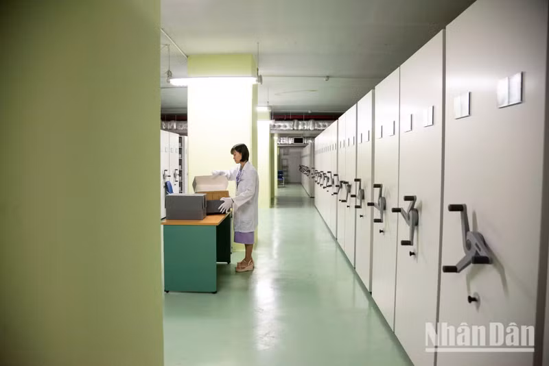 Le Centre national des archives no III accélère le recours aux technologies afin de permettre au public de consulter plus facilement en ligne les dossiers des cadres partis en zone B. Photo : MINH DUY.