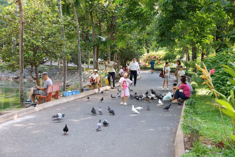 Au quotidien, le spectacle de ces pigeons qui tournoient dans les airs ou se promènent dans leurs lieux habituels est devenu une image familière et apaisante pour de nombreuses personnes. Photo : Ngo Tung.