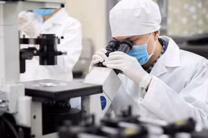 Le Vietnam a pris la bonne direction en élaborant des stratégies pour attirer les talents et développer une diplomatie des talents. Photo : QDND.