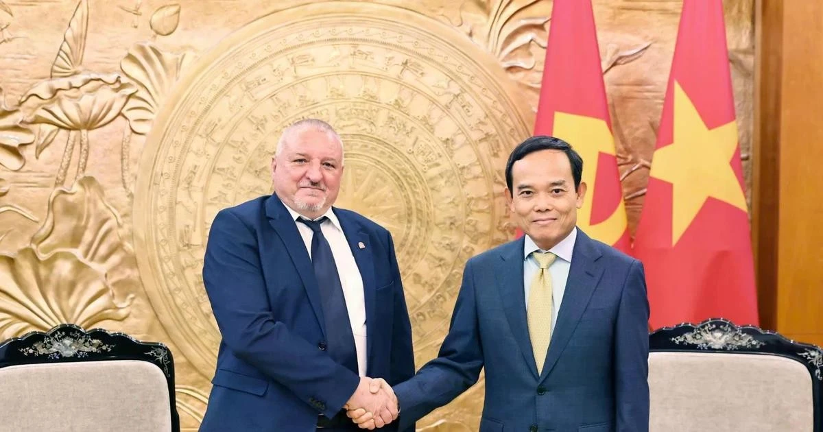 Tran Luu Quang, secrétaire du Comité central du Parti communiste du Vietnam (droite) et le président du Parti socialiste hongrois Komjáthi Imre. Photo : VNA.