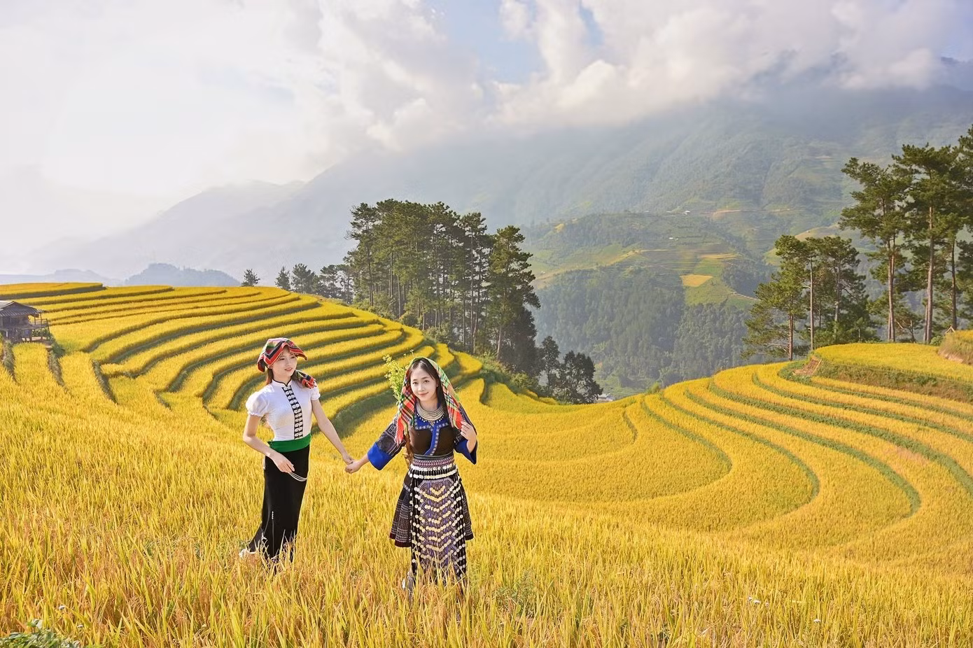 Le beau temps qui règne ces jours-ci offre des conditions idéales aux visiteurs pour découvrir les lieux, prendre des photos et immortaliser les paysages de la saison du riz mûr. Photo : tienphong.vn