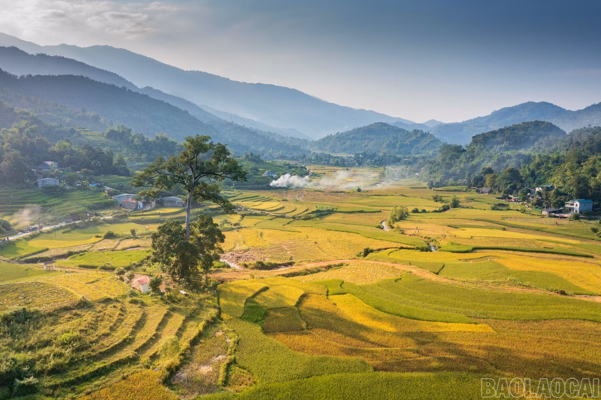 Au pied des montagnes s’étendent de vastes rizières, composant l’un des paysages emblématiques de Hop Thanh. Photo : baolaocai.vn