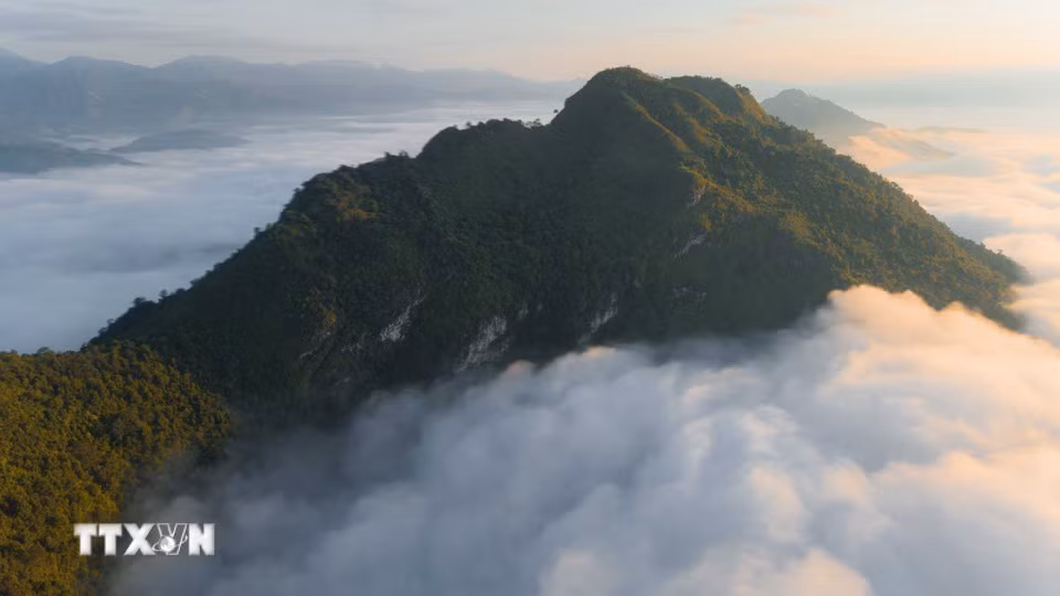 Au milieu de l’étendue blanche des nuages, les sommets de Tang Quai se dressent fièrement dans la lumière du matin. Photo : VNA