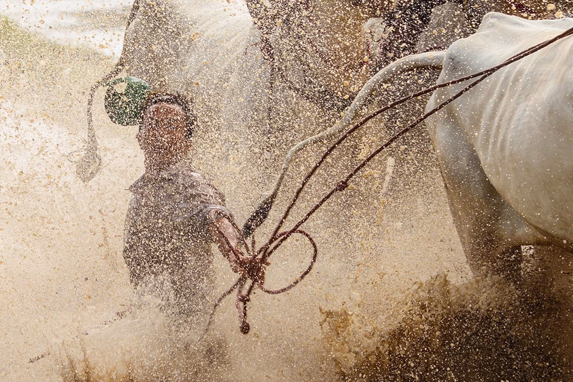 À chaque foulée, la boue et l’eau sont projetées vers l’arrière. Les fortes pluies rendent le terrain encore plus glissant et boueux, compliquant le maintien d’une vitesse régulière aussi bien pour les bœufs que pour leurs conducteurs. Photo : znews.vn