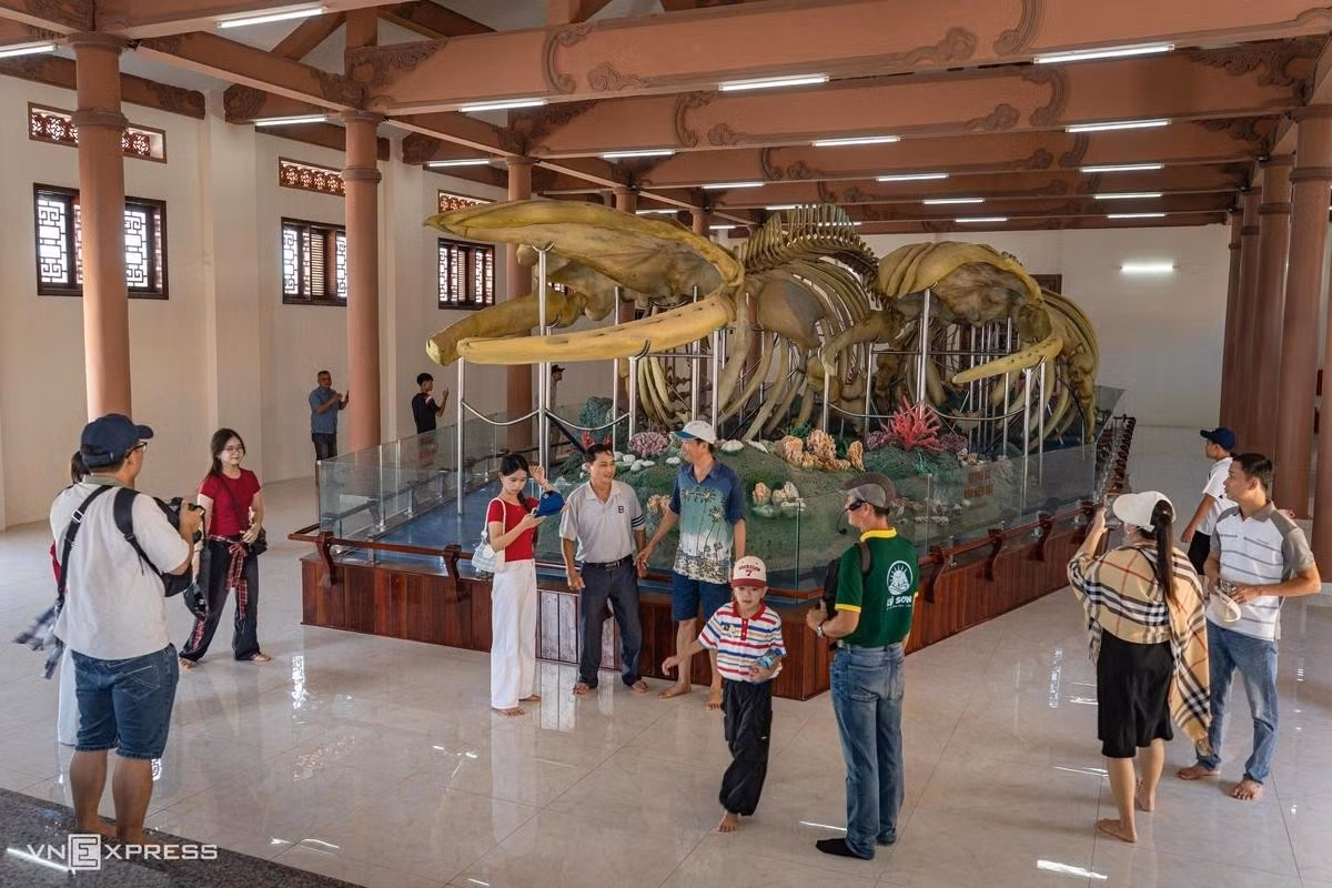 Au début de 2022, les deux squelettes de baleines du temple de Tân ont été entièrement restaurés par des spécialistes à partir de moulages, afin de leur redonner l’apparence de baleines nageant, le corps ondulant et projeté vers l’avant. Le projet de restauration, qui comprenait également la construction de la maison d’exposition, représentait un investissement total de 14 milliards de dôngs. Photo : vnexpress.net