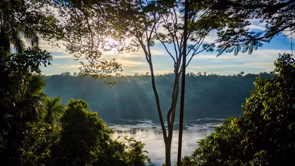Sur del Alto Paraná (Paraguay) : Nichée dans la forêt atlantique du Haut Paraná, cette réserve protège l’un des écosystèmes les plus riches et les plus menacés de la planète. Elle constitue un refuge essentiel pour le jaguar, le tapir et assure la continuité d’un corridor écologique reliant le Paraguay, le Brésil et l’Argentine. Photo : UNESCO