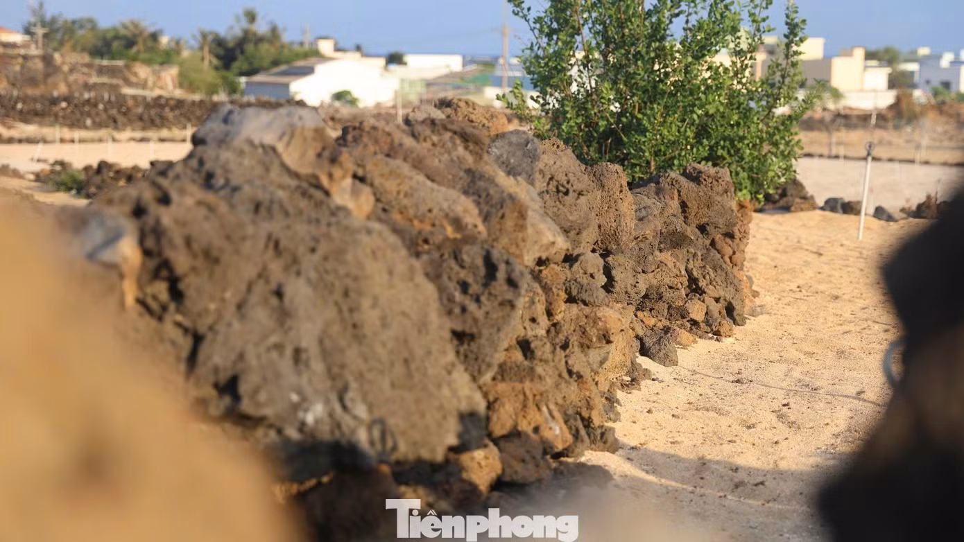 Des fragments de roches volcaniques sédimentaires aux formes et aux dimensions variées. Photo : tienphong.vn