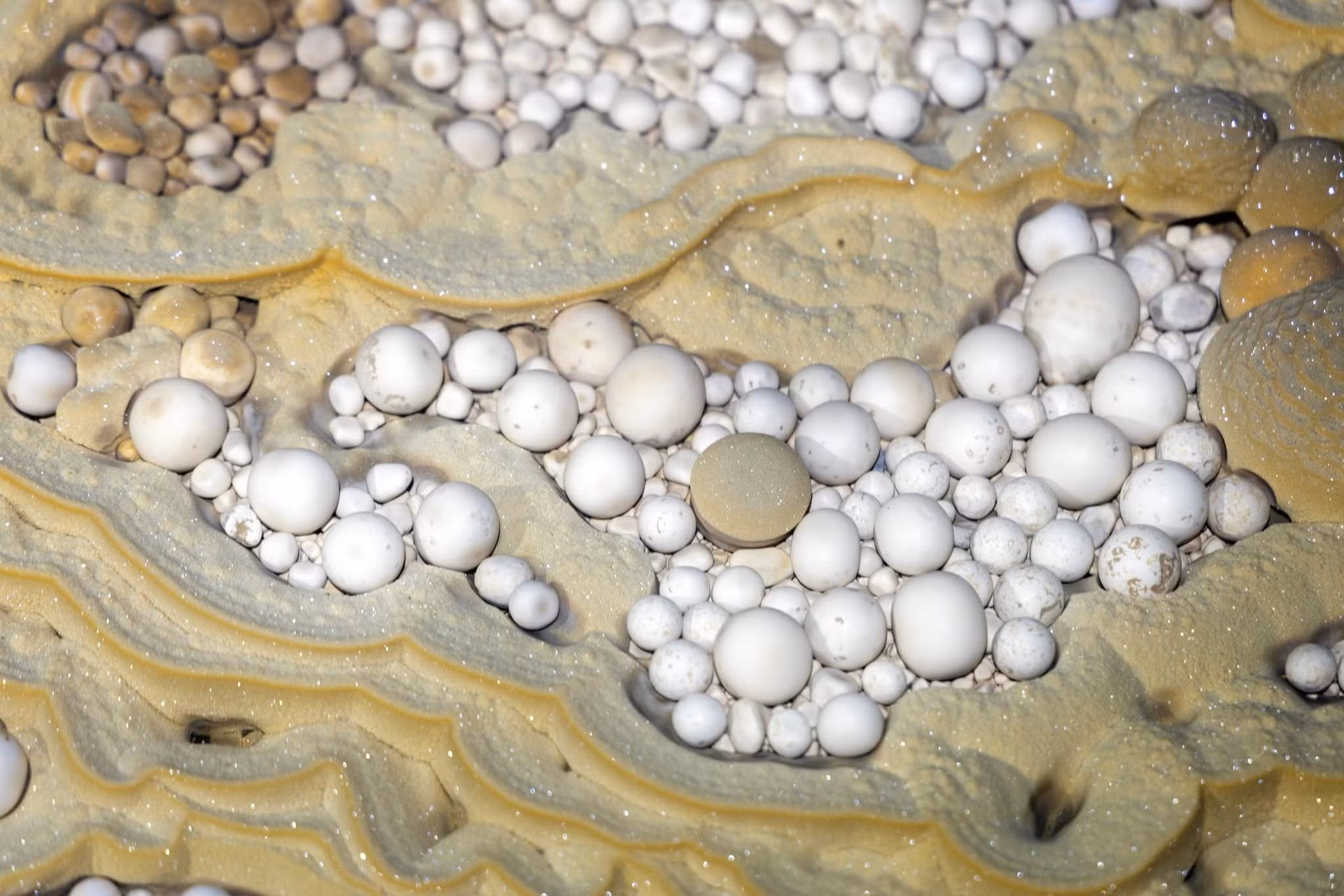 L’élément le plus saisissant de cette exploration reste la présence massive de grappes de perles des cavernes, d’un blanc éclatant et à la surface polie, nichées dans des cavités rocheuses naturelles. Selon les représentants de Jungle Boss, une telle densité et de telles dimensions de perles constituent un phénomène géologique rarissime, même pour des experts chevronnés ayant exploré de nombreux systèmes souterrains. Photo: Jungle Boss