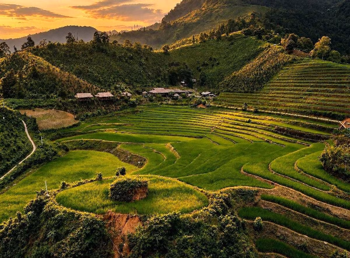 Les homestays de Ban Lien appliquent les principes du tourisme durable et évitent d’accueillir un nombre excessif de visiteurs afin de ne pas perturber la vie quotidienne de la communauté. Les touristes sont répartis entre les différents hébergements du village, permettant ainsi aux familles locales de bénéficier collectivement des retombées économiques du tourisme. Photo : vnexpress.net