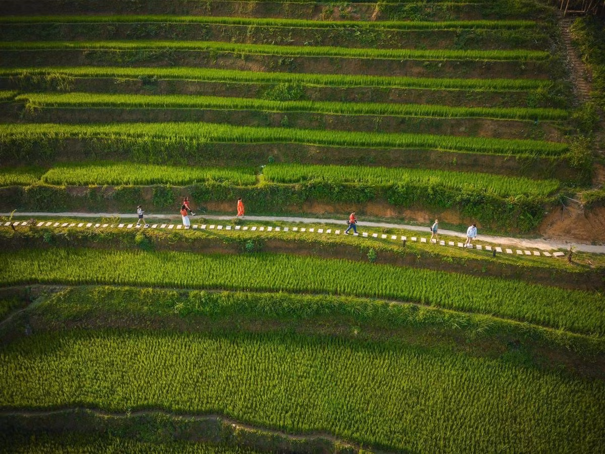 Gâtée par la nature, Ban Lien offre un paysage poétique et un climat agréable. Ses maisons sur pilotis, recouvertes de toits en mousse verte, ses collines de thé émergeant sous des palmiers de plus de dix mètres de haut, ses champs en terrasses fertiles, et ses habitants accueillants et attachés à la tradition séduisent ceux qui cherchent l'authenticité. Photo : vnexpress.net