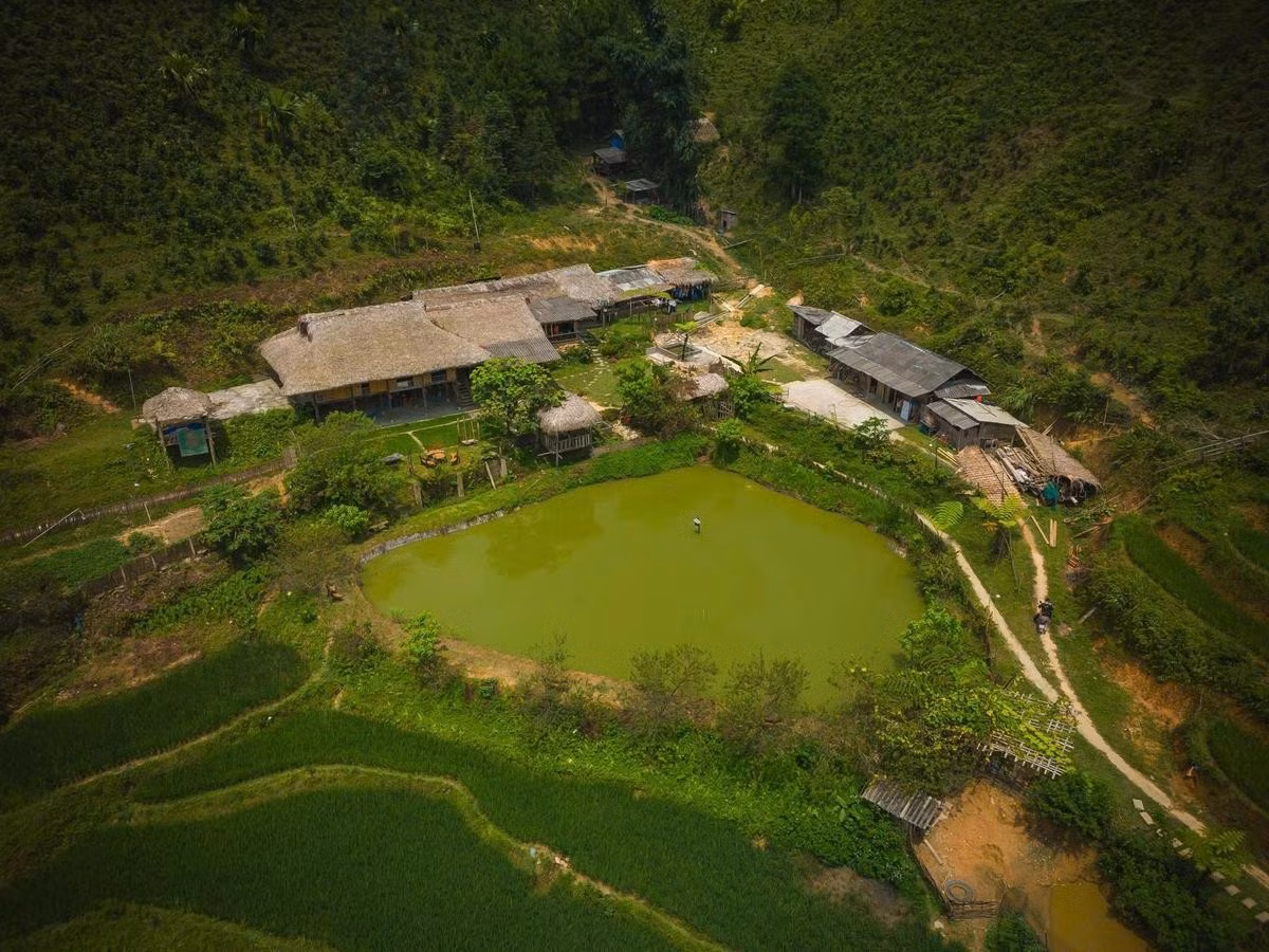 Depuis Hanoï, l’itinéraire le plus pratique consiste à emprunter l’autoroute Hanoï-Lao Cai (CT05), puis à prendre la direction de Bac Ha. Depuis le centre de Bac Ha, il faut encore parcourir une vingtaine de kilomètres. Le trajet total dure environ cinq à six heures. Outre la voiture personnelle, les visiteurs peuvent prendre un taxi ou un taxi-moto depuis Bac Ha. Les voitures de moins de sept places peuvent accéder aux environs du centre du village, tandis que les autres véhicules doivent s’arrêter à environ 500 à 600 mètres. Photo : vnexpress.net