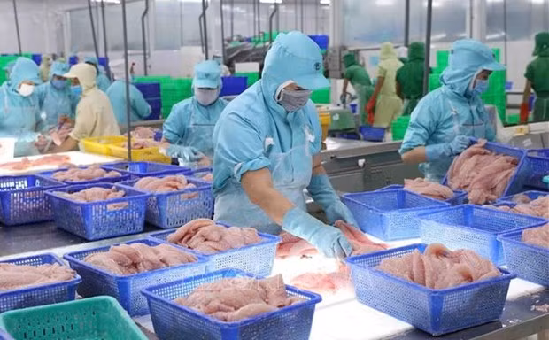 Les exportations de produits aquatiques pourraient atteindre plus de 9 milliards de dollars