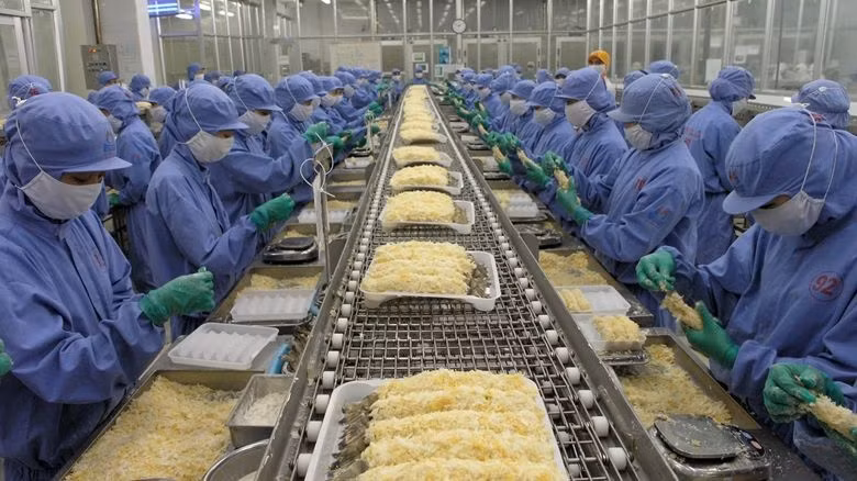 Le Vietnam est fort en termes de crevettes transformées. Photo : TNO.
