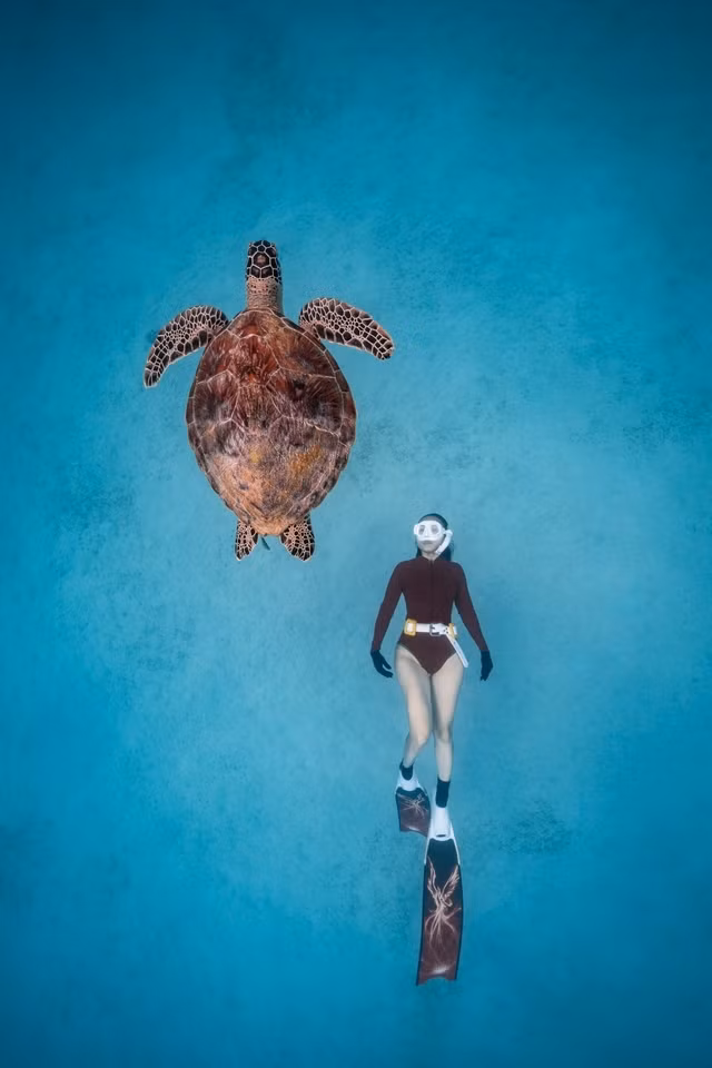 La photo "Turtle Dream" du photographe Nguyen Ngoc Thien. Photo : CPV