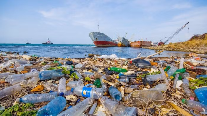Renforcer les outils de gestion de déchets en matière plastique dans le tourisme au Vietnam. Photo : baophapluat.vn