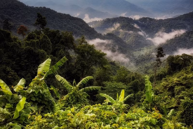 Photo: baotainguyenmoitruong.vn