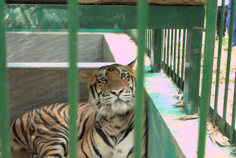 Photos : suckhoedoisong.vn