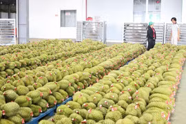 Actuellement, les atteintes aux marques prennent des formes de plus en plus variées. Photo : VNA.