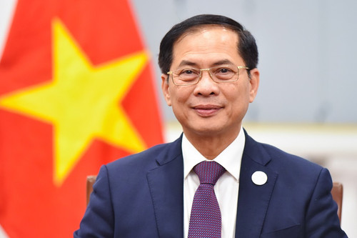 Le vice-Premier ministre et ministre des Affaires étrangères, Bui Thanh Son. Photo : VNA.
