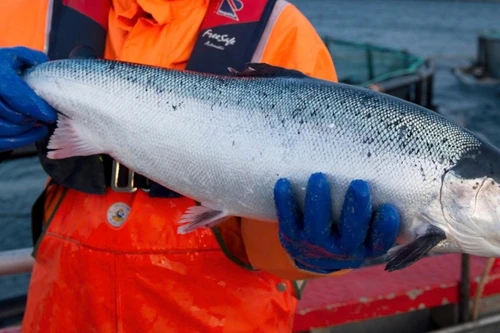 Photo d'illustration : VnEconomy