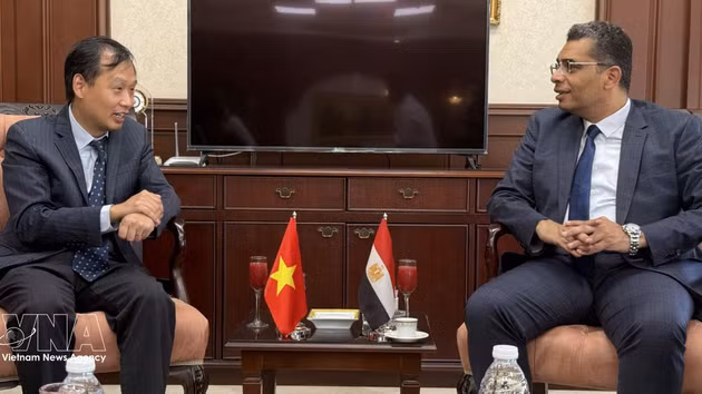 L'ambassadeur du Vietnam en Égypte, Nguyen Nam Duong (gauche) et le gouverneur du Gouvernorat de la Mer Rouge, Walid Al Barqi. Photo : VNA. 