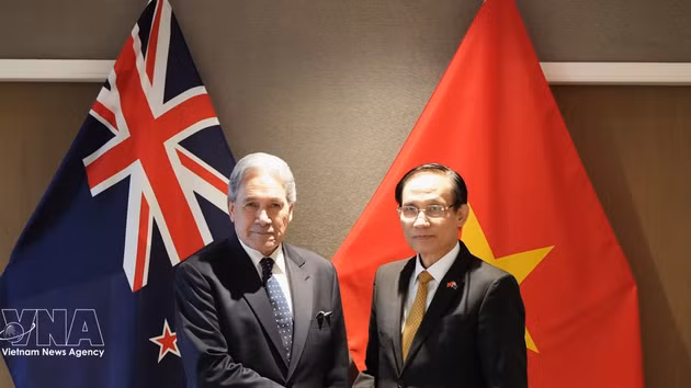 Quatrième réunion ministérielle des Affaires étrangères Vietnam-Nouvelle-Zélande