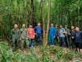 Plusieurs peuplements de théiers anciens, vieux de plusieurs siècles, sont récemment découverts dans la chaîne de montagnes de Quang Nam Chau, province de Quang Ninh (au Nord-Est). Photo : daidoanket.vn