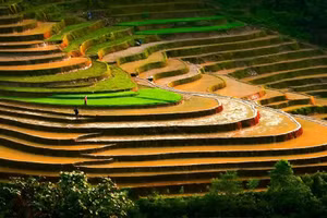 S’étendant sur plus de 700 hectares, les rizières en terrasses de Ta Van sont reconnues comme un site pittoresque national et figurent parmi les itinéraires de randonnée les plus prisés du Vietnam.