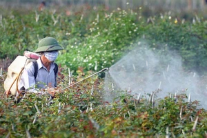 Ces dernières années, l’utilisation des produits phytosanitaires biologiques connaît une forte progression à l’échelle mondiale. Photo : Vneconomy.