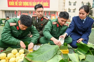 Confection de banh chung : symbole de cohésion à la Brigade 144