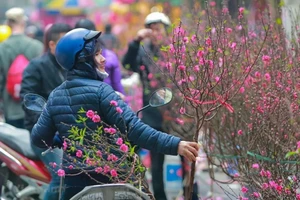 Une série de vagues de froid devrait toucher le Nord et le Centre-Nord d'ici aux vacances du Nouvel An lunaire (du 14 au 22 février). Photo : VietnamPlus.