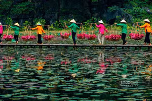 Ninh Binh séduit les visiteurs avec ses saisons florales patrimoniales. Photo : laodong.
