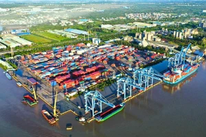 Le modèle de port numérique ePort et l’électrification des équipements au port Tan Cang-Cat Lai permettent d’économiser 2 millions d’USD de carburant par an. (Photo : Fournie par l’unité)