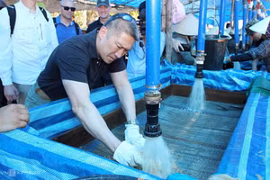 Le sous-secrétaire à la Marine des États-Unis, Hung Cao, participe aux opérations de tamisage destinées à retrouver les restes des personnes portées disparues. Photo : Dac Thanh.