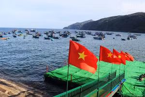 Le port de pêche de Nhon Ly est retenu par la province de Gia Lai comme point fort de sa stratégie de développement du tourisme maritime.