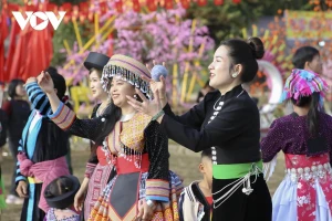 La fête est baignée de couleurs culturelles.