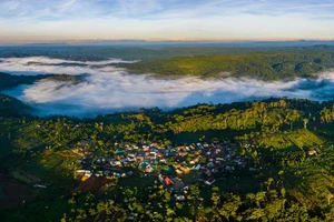 Aube sur le Cong Troi d’An Toàn, entre forêt primitive verdoyante et toits de tuiles rouges. Photo : tuoitre.