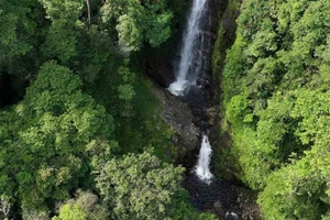Nichée au cœur d’une forêt primaire, la cascade Hơ Kook culmine à environ 50 mètres de haut. Photo : Comité populaire de la commune de Kon Plong.